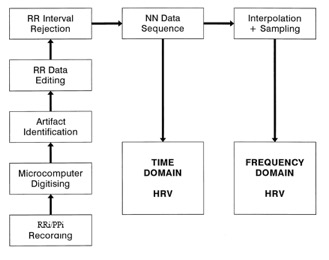 HRV analysis steps