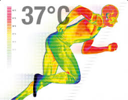 Core Body temperature of an athlete 37 degrees C
